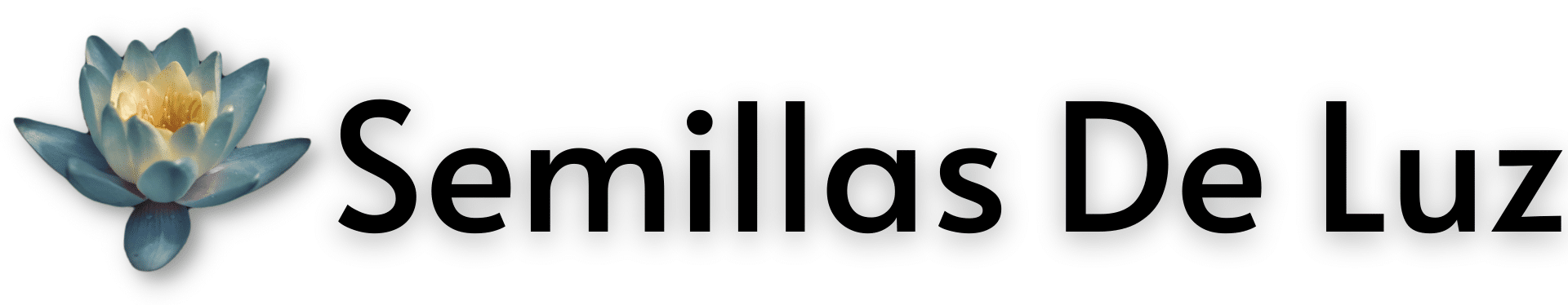 Semillas de Luz